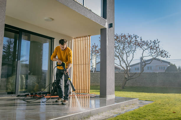 Best Patio and Deck Pressure Washing  in Ladonia, AL